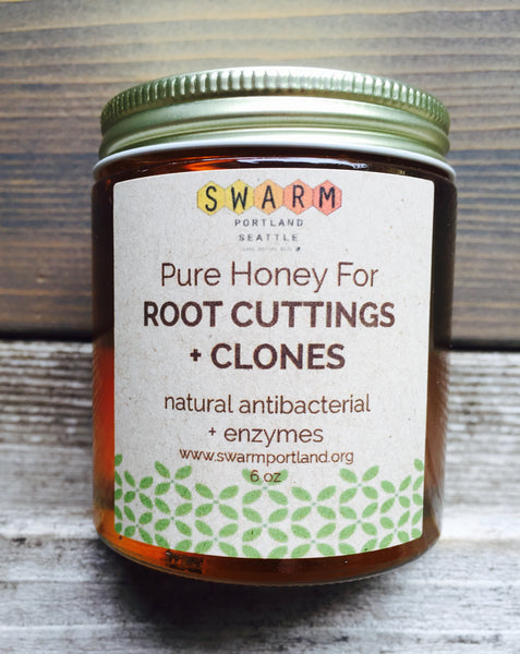 Root Cuttings + Clones Raw Honey